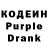 Codein Purple Drank Vladislav Steinbeck