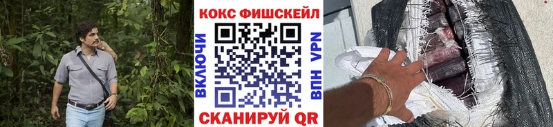Купить закладки  Курчалой  Cocaine FishScale 