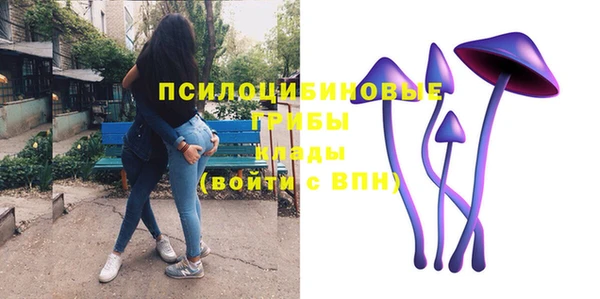 mdpv Волоколамск