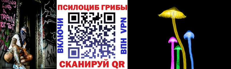 Купить где  Курчалой  Псилоцибиновые грибы Magic Shrooms 